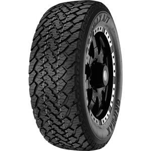 285/60R18 GRIPMAX GRIPMAX A/T 120T XL RWL EC274